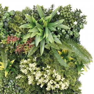 JARDIN VERTICAL 50X50CM SERIE BIONIA...