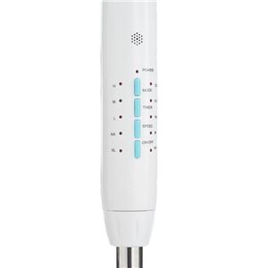 VENTILADOR DE PIE 5 ASPAS 45W CON MANDO BLAUPUNKT - BP2010-1