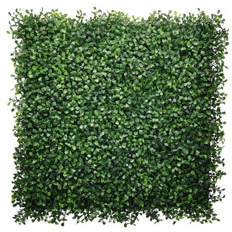 JARDIN VERTICAL 50X50CM SERIE FLORARIA SUNGARDEN - SG0001-1