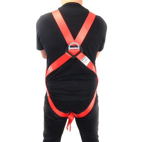 ARNES 25KN HASTA 150KG MADER - 65850-1