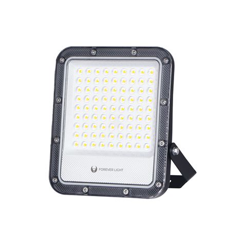 FOCO LED PROXIM+ 50W | 4000K FOREVER - RTV200086