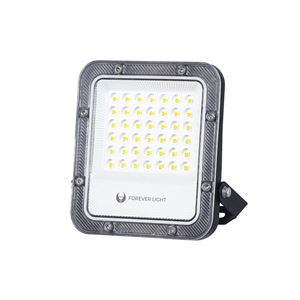 FOCO LED PROXIM+ 30W | 4000K FOREVER - RTV200082