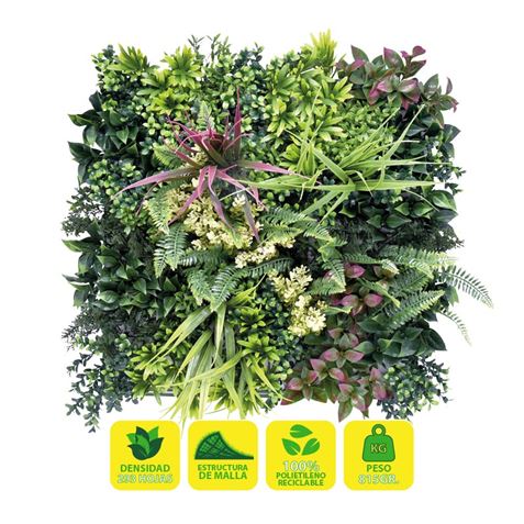 JARDIN VERTICAL 50X50CM SERIE ARBÓREA SUNGARDEN - SG0149