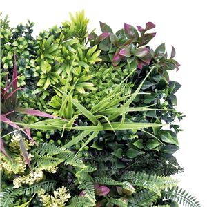 JARDIN VERTICAL 50X50CM SERIE ARBÓREA SUNGARDEN - SG0149-2