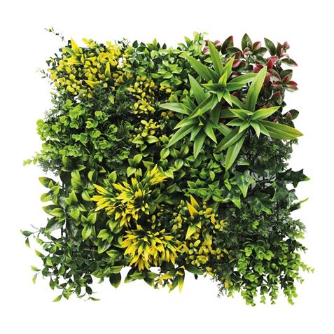 JARDIN VERTICAL 50X50CM SERIE GREENWALL SUNGARDEN - SG0146-1