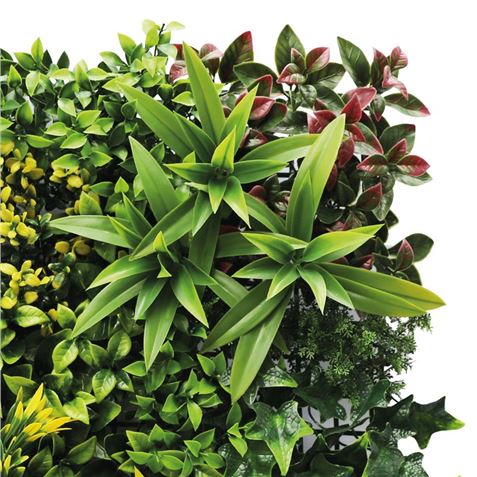 JARDIN VERTICAL 50X50CM SERIE GREENWALL SUNGARDEN - SG0146-2