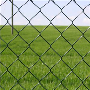 MALLA DE VALLADO PLASTIFICADA 60X60X2.9MM 1.5X25 METROS SUNGARDEN - SG0153-3