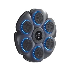 MAQUINA DE BOXEO INTELIGENTE CON MUSICA SF02 XO - XOSF02