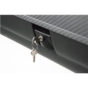 BAUL DE TECHO PARA VEHICULOS 1330X778X345MM EFECTO FIBRA CARBONO ARTPLAST - BA320GT-4