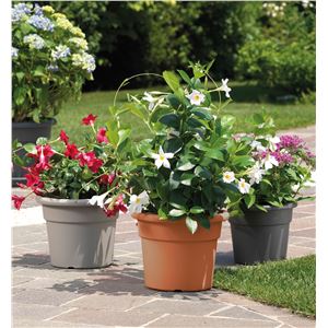 MACETA REDONDA DIAMETRO 35CM ANTRACITA ARTPLAST - CIL035CBAN-1