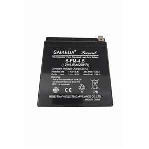 BATERIA 6V 4,5AH PARA MOTOS 33013 33014 33015 33016 - REP1059-1