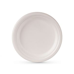 SET 15 PLATOS BIODEGRADABLES 17,5CM ALGON - BA01054078851