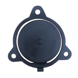 VALVULA DE RETENCION PARA MOTOBOMBA BL0464 BLIM - REP1193