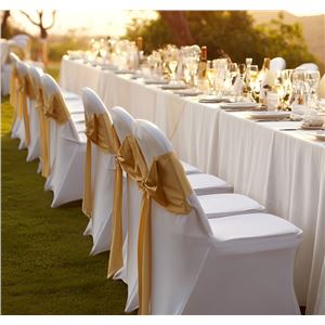 FUNDA PARA SILLA PLEGABLE PRO BLANCA SUNGARDEN - SG0216-1