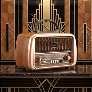 RADIO CARLO AM/FM JB-105 T USB 1200MAH FOREVER - RTV222463-1