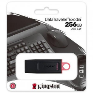 PENDRIVE KINGSTON USB3.2 256GB...