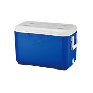 NEVERA RIGIDA 48 LITROS POLY - LITE...
