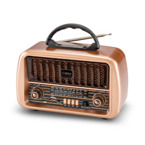 RADIO CARLO AM/FM JB-105 T USB...
