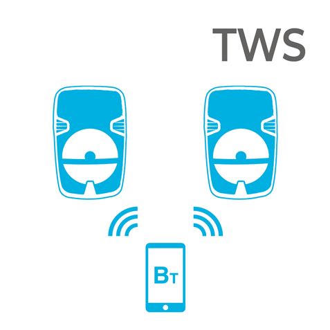 ALTAVOZ KARAOKE 6.5" JOYBOX J20 150W BIWOND - BW0043-2